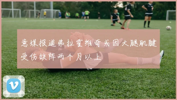 意媒报道弗拉霍维奇或因大腿肌腱受伤缺阵两个月以上