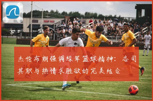 杰伦布朗强调绿军篮球精神：各司其职与热情求胜欲的完美结合